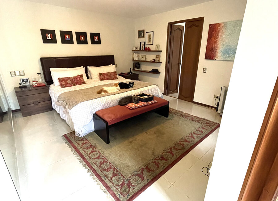 Venta de hermosa casa con 4 dorms, piscina, terraza y jardín en calle cerrada en La Molina Vieja