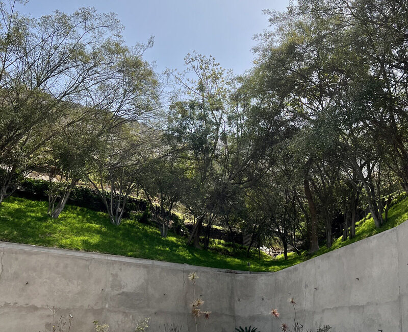 Terreno exclusivo en La Planicie, vista a arboles