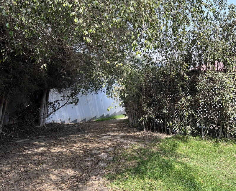 Terreno exclusivo en La Planicie, vista a arboles